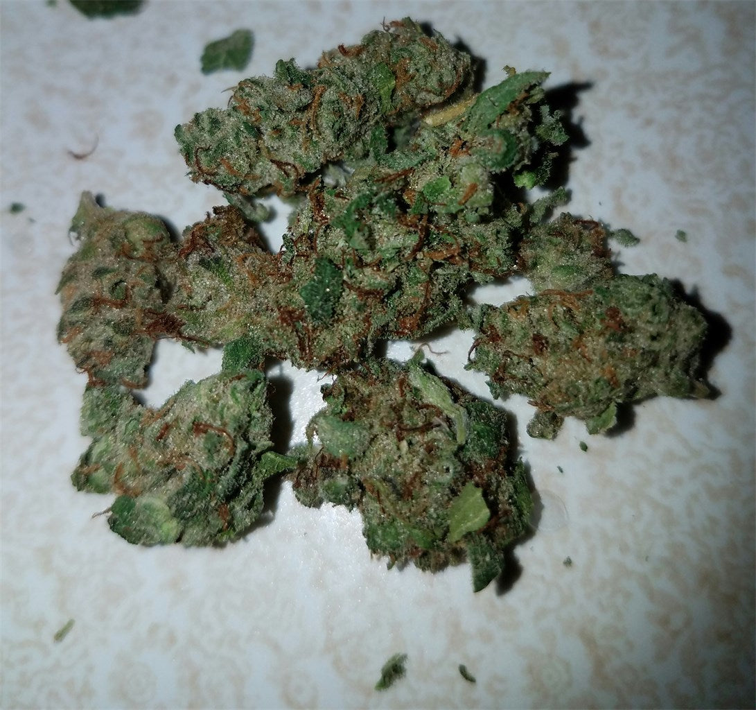 Sour Maui marijuana strain flower with tropical and citrus flavor and talkative / energetic effects - Rare Harvest sativa