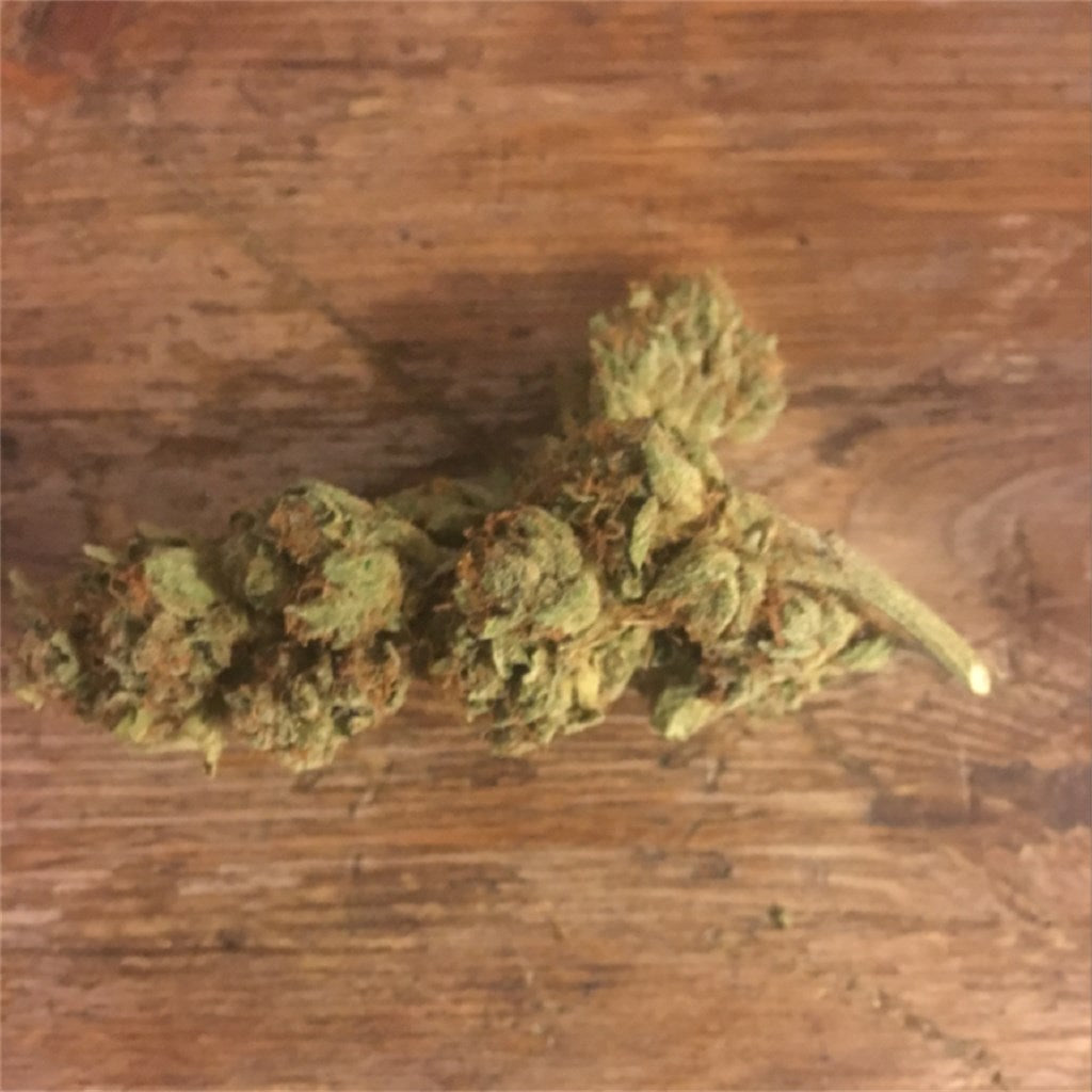 Sour Spyder marijuana strain flower with coffee and diesel flavor and energetic / uplifted effects - Rare Harvest indica