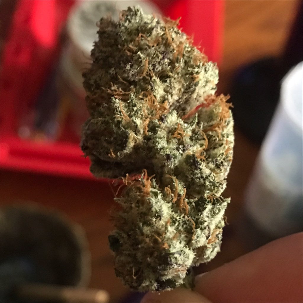 Sour Strawberry Diesel marijuana strain flower with strawberry and diesel flavor and aroused / tingly effects - Rare Harvest hybrid