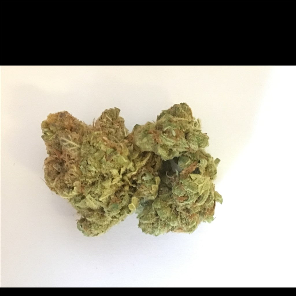 Sour Tsunami marijuana strain flower with citrus and earthy flavor and relaxed / focused effects - Rare Harvest hybrid