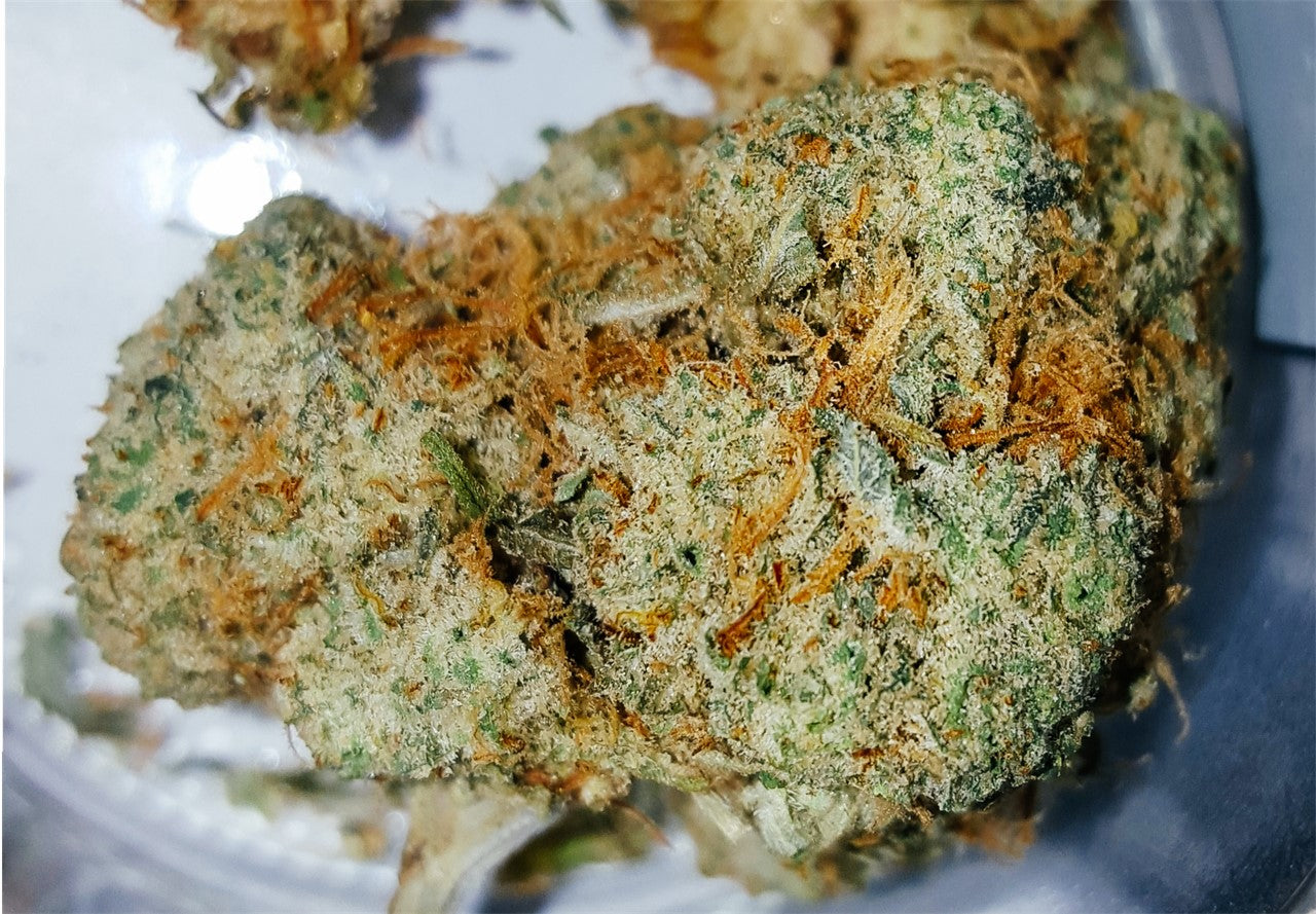 Sour Willie marijuana strain flower with pungent and diesel flavor and energetic / uplifted effects - Rare Harvest sativa