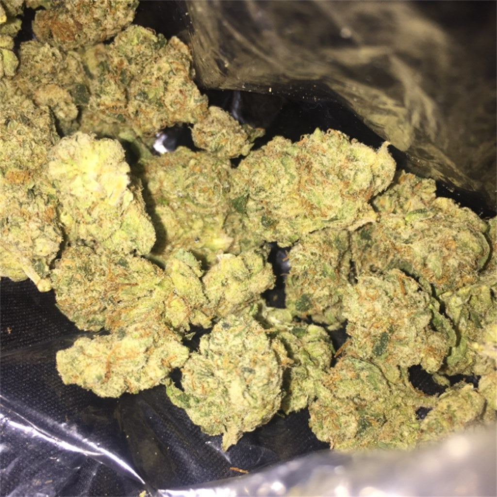 Sourlope marijuana strain flower with mint and tropical flavor and focused / energetic effects - Rare Harvest sativa