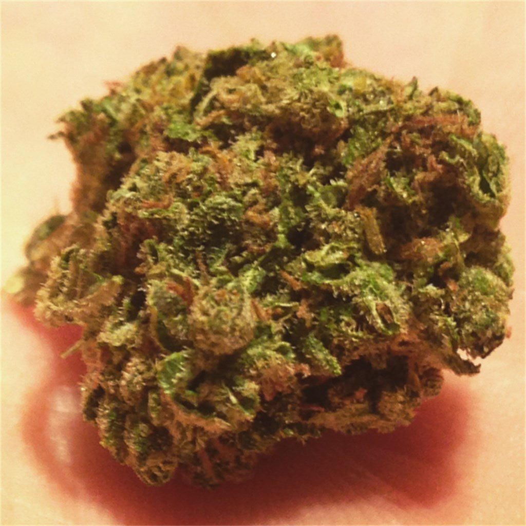 South American marijuana strain flower with ammonia and mango flavor and hungry / energetic effects - Rare Harvest sativa