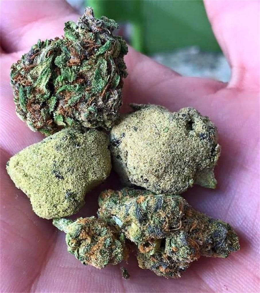 South Indian Indica marijuana strain flower - Rare Harvest indica