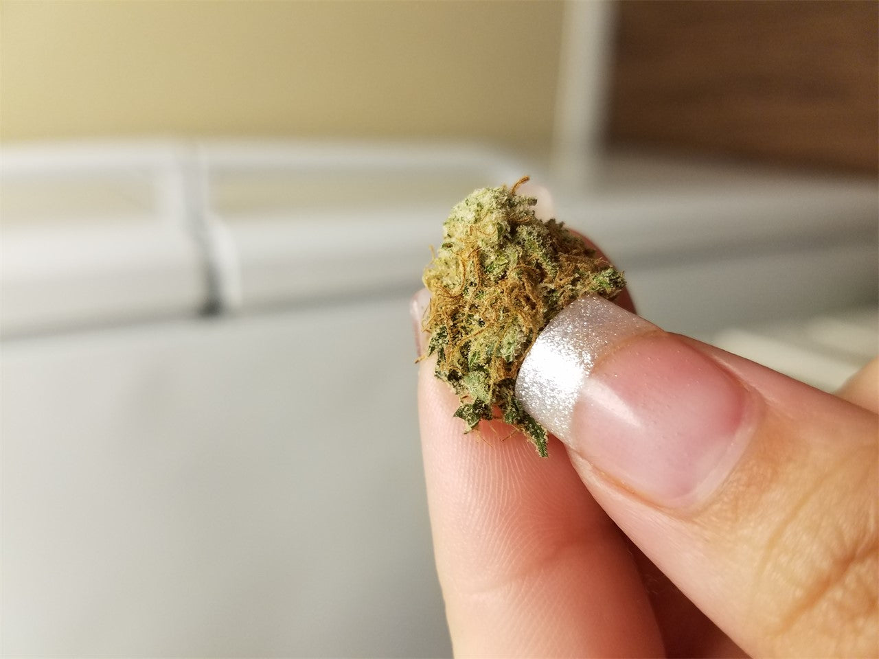 Southern Lights marijuana strain flower with diesel and lemon flavor and creative / energetic effects - Rare Harvest sativa