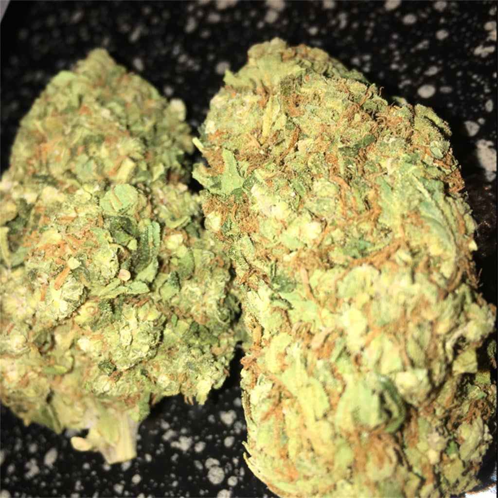 Space Dawg marijuana strain flower with earthy and pungent flavor and euphoric / uplifted effects - Rare Harvest indica