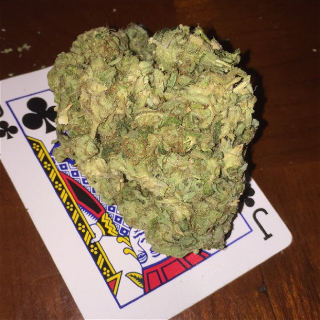 Space Monster marijuana strain flower with grape and diesel flavor and creative / euphoric effects - Rare Harvest indica