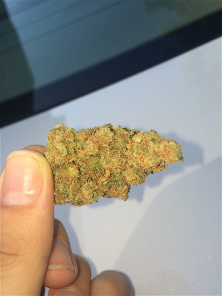 Space Needle marijuana strain flower with blueberry and chemical flavor and energetic / hungry effects - Rare Harvest sativa