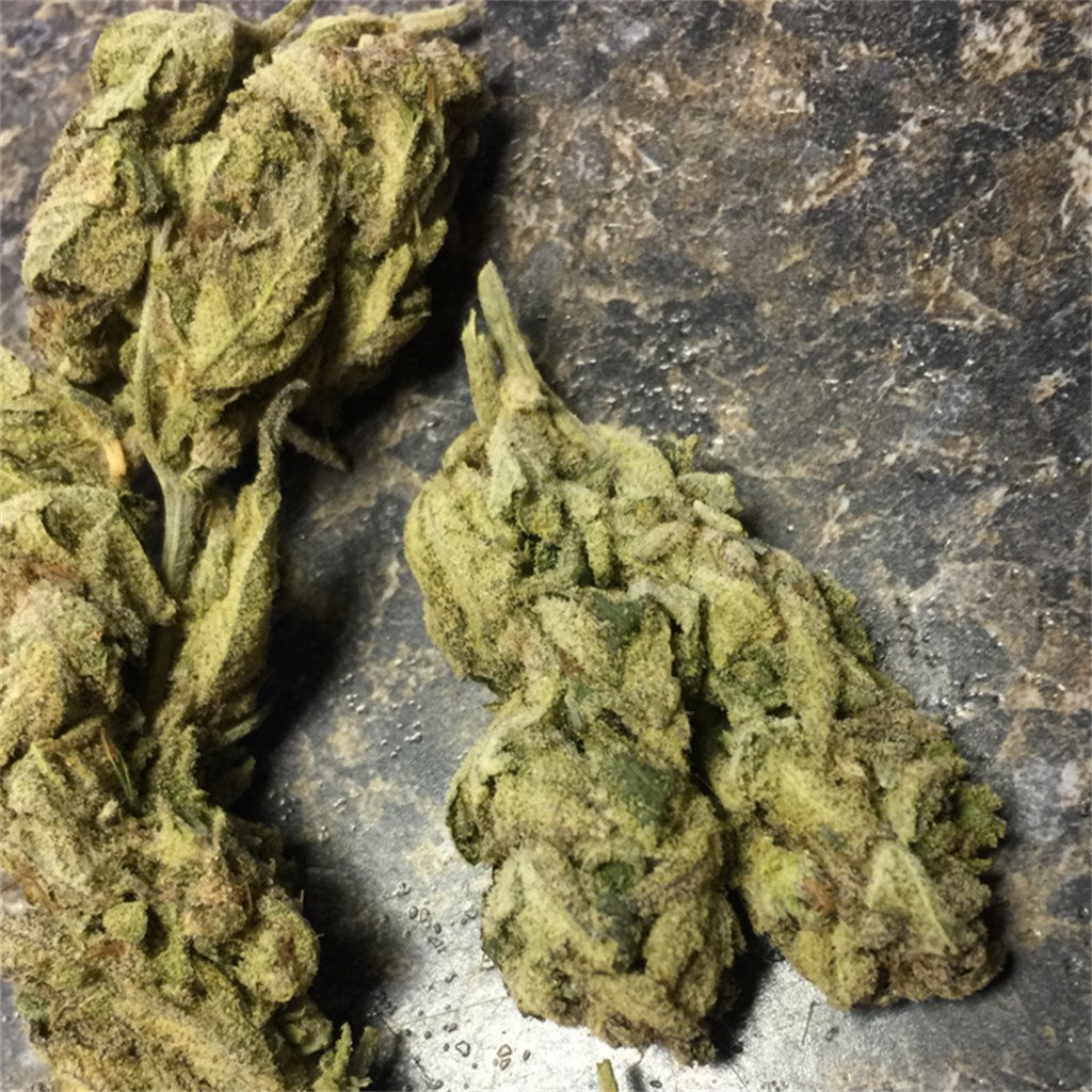 Space Queen marijuana strain flower with pear and apple flavor and uplifted / euphoric effects - Rare Harvest hybrid