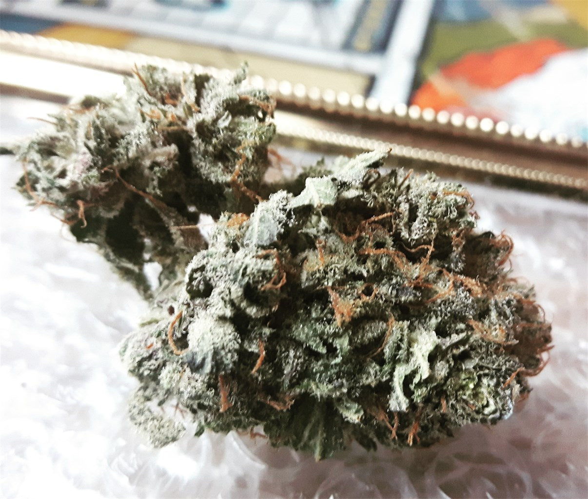 Special K marijuana strain flower with earthy and citrus flavor and happy / uplifted effects - Rare Harvest hybrid