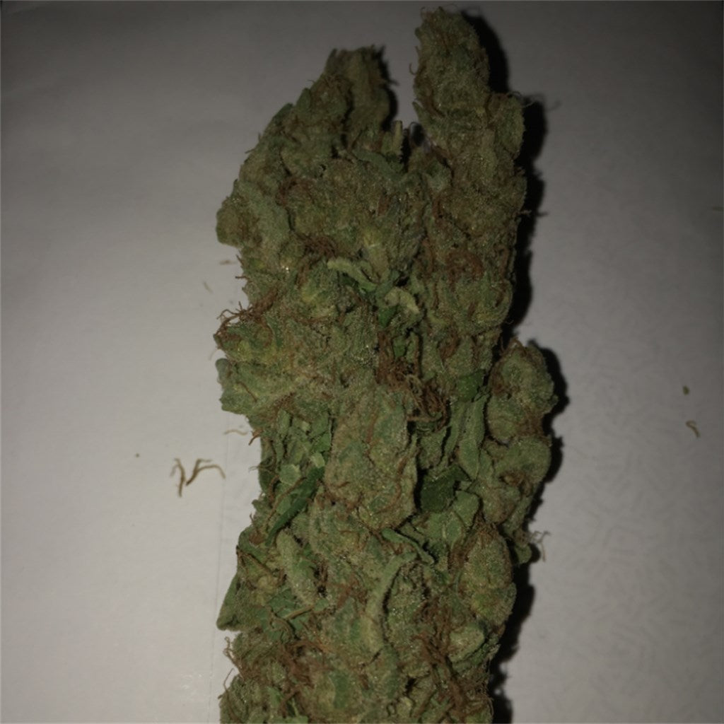 Spoetnik #1 marijuana strain flower with flowery and pine flavor and energetic / focused effects - Rare Harvest indica