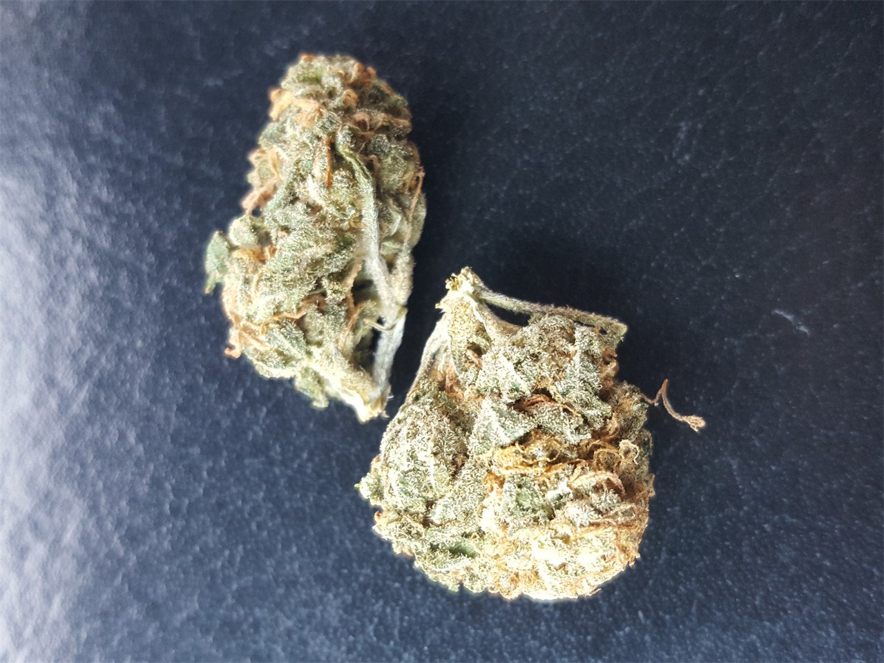 Star 47 marijuana strain flower with berry and earthy flavor and creative / happy effects - Rare Harvest hybrid