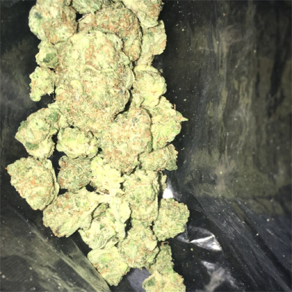 Star Master Kush marijuana strain flower with grape and earthy flavor and sleepy / euphoric effects - Rare Harvest indica