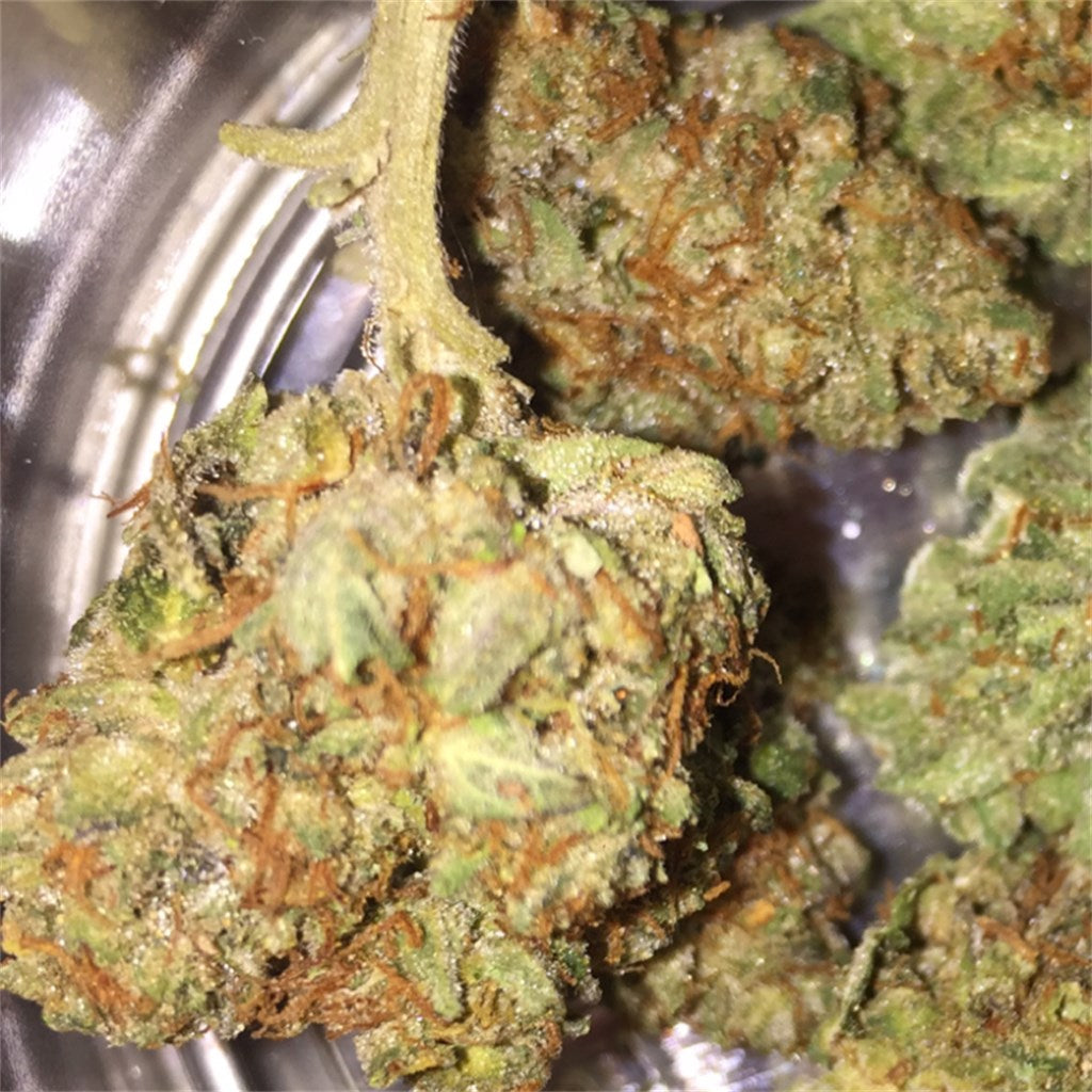 Stardawg marijuana strain flower with chemical and diesel flavor and tingly / happy effects - Rare Harvest hybrid