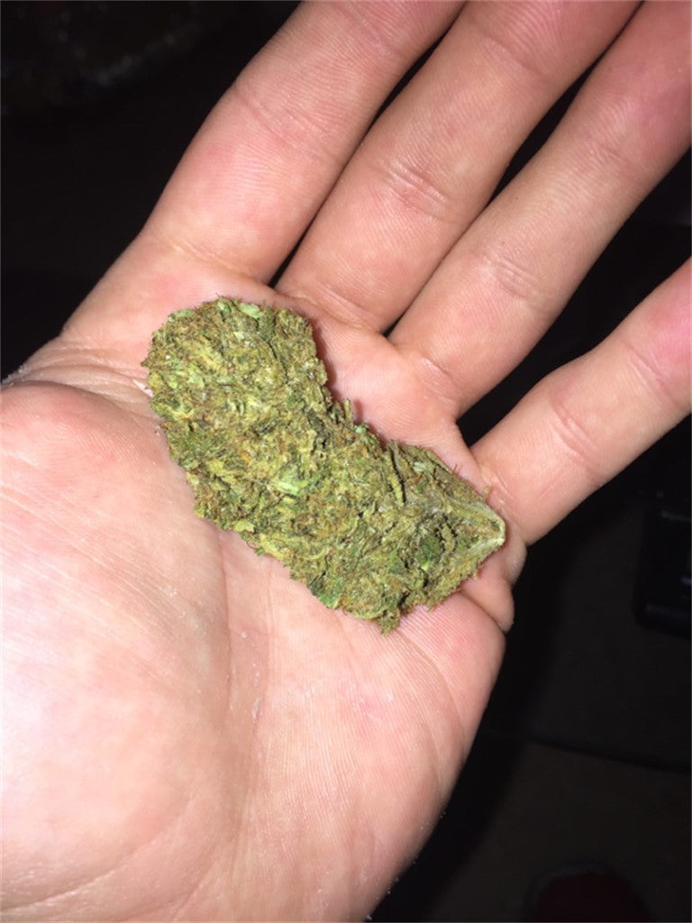 Stella Blue marijuana strain flower with blueberry and berry flavor and energetic / happy effects - Rare Harvest sativa