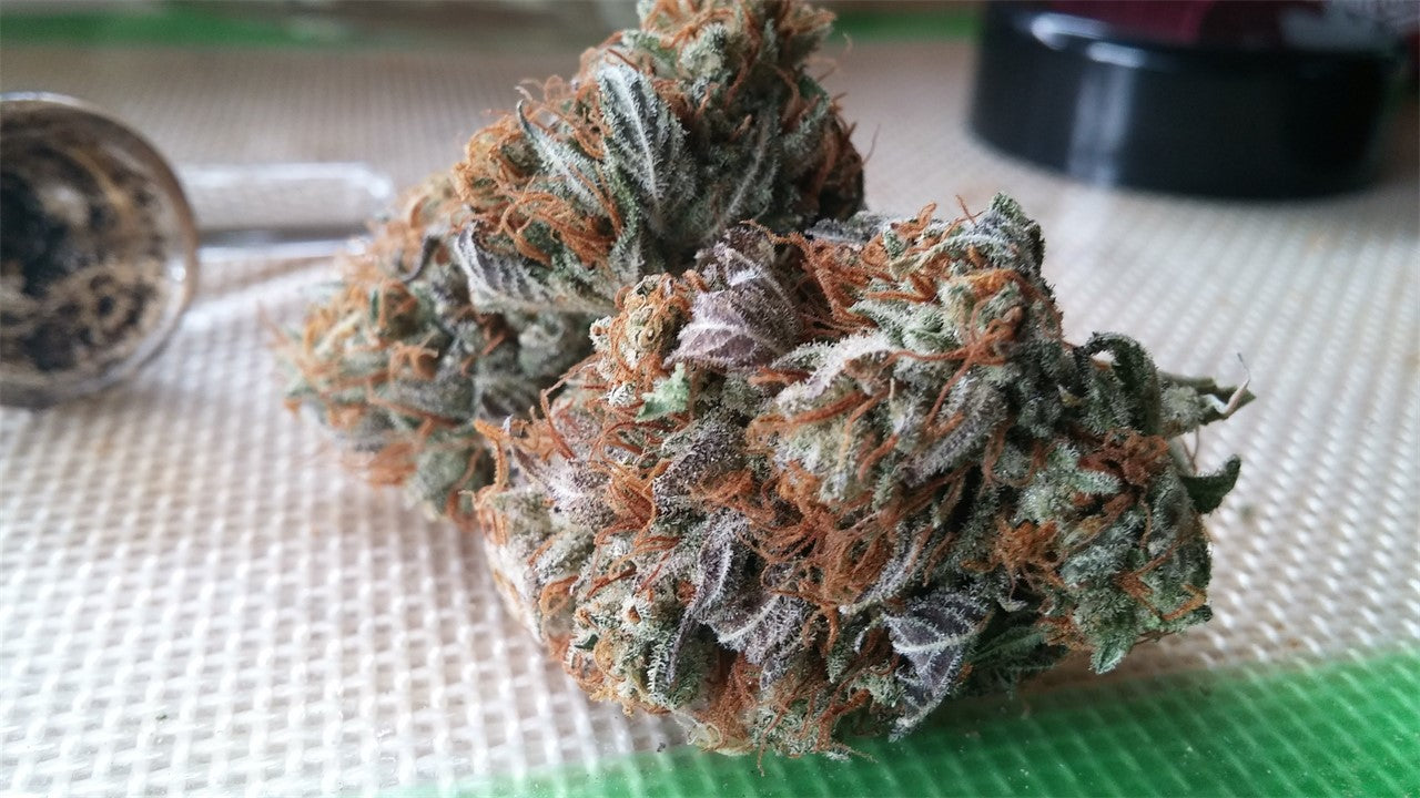 Stephen Hawking Kush marijuana strain flower with mint and woody flavor and relaxed / focused effects - Rare Harvest indica