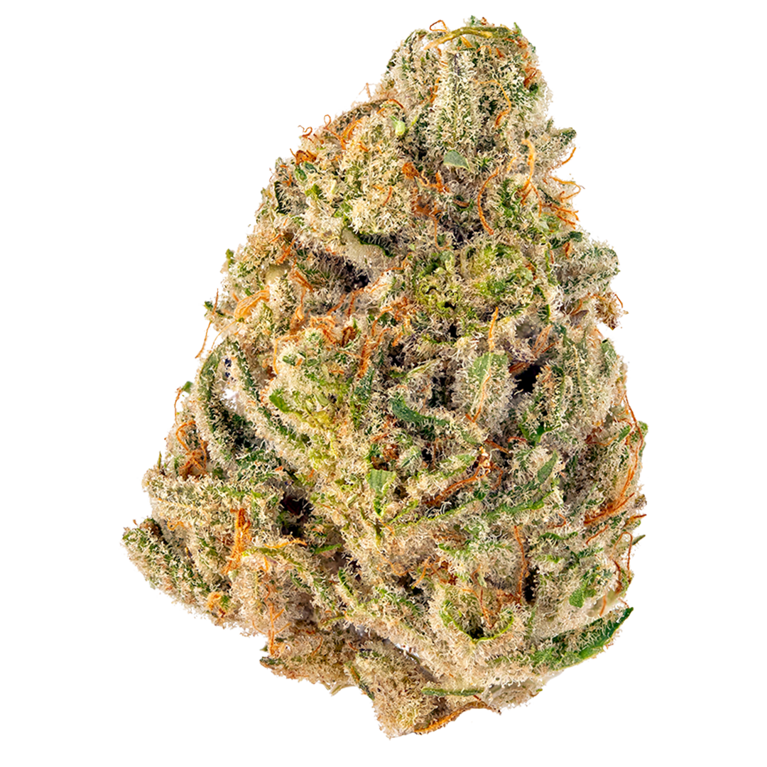 Wonka Bars #13 marijuana strain flower with apple and pineapple flavor and energetic / uplifted effects - Rare Harvest hybrid