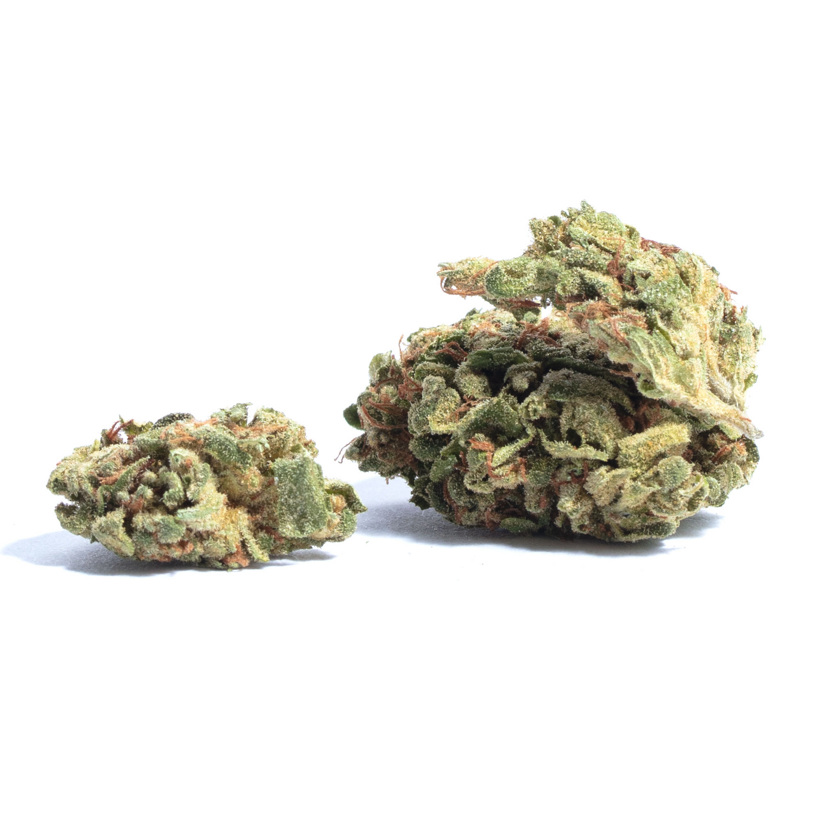 White Bubba marijuana strain flower with pine and mint flavor and happy / energetic effects - Rare Harvest hybrid
