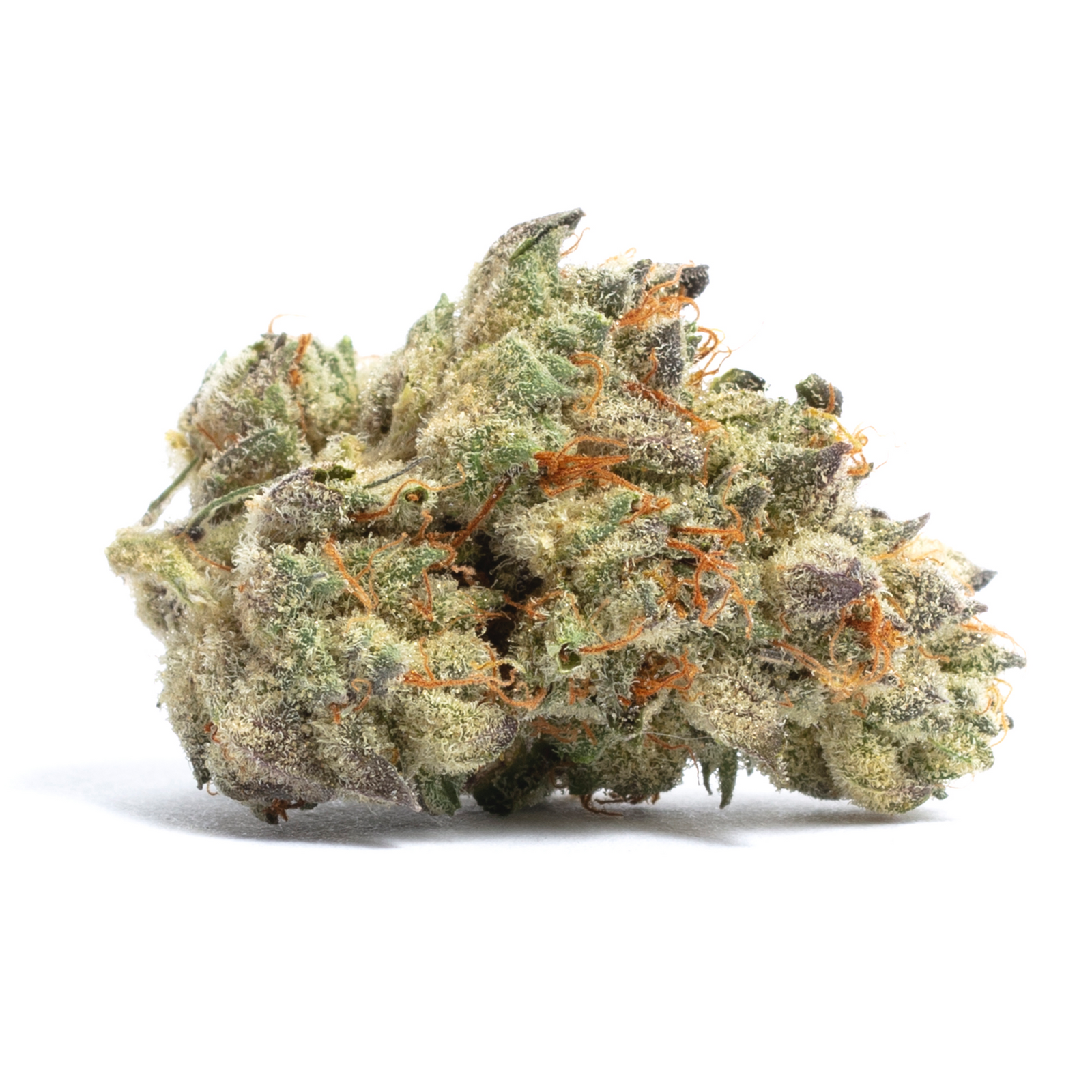 Whitethorn Rose marijuana strain flower with lavender and berry flavor and happy / euphoric effects - Rare Harvest hybrid