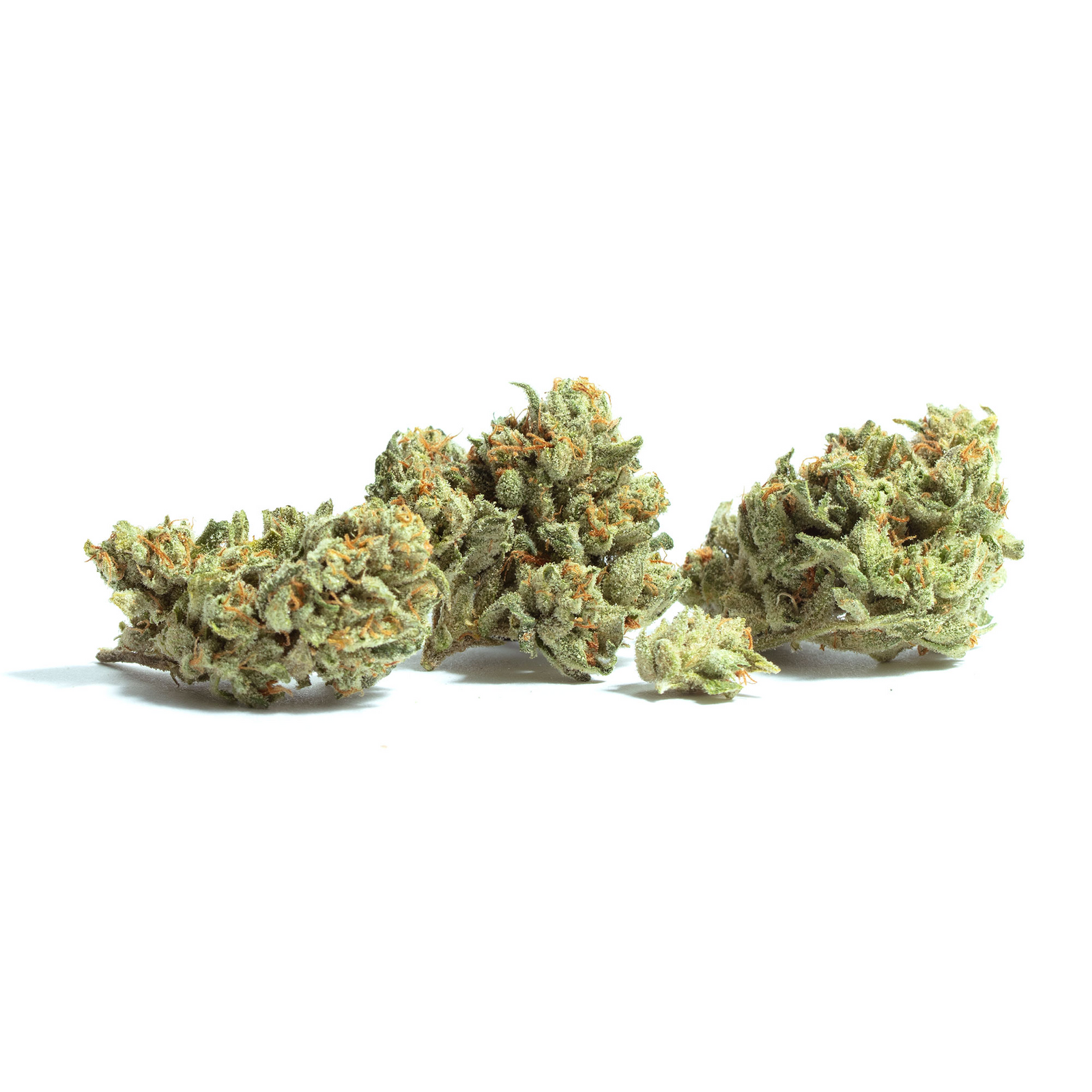 Grape God Bud marijuana strain flower with grapefruit and grape flavor and uplifted / euphoric effects - Rare Harvest hybrid