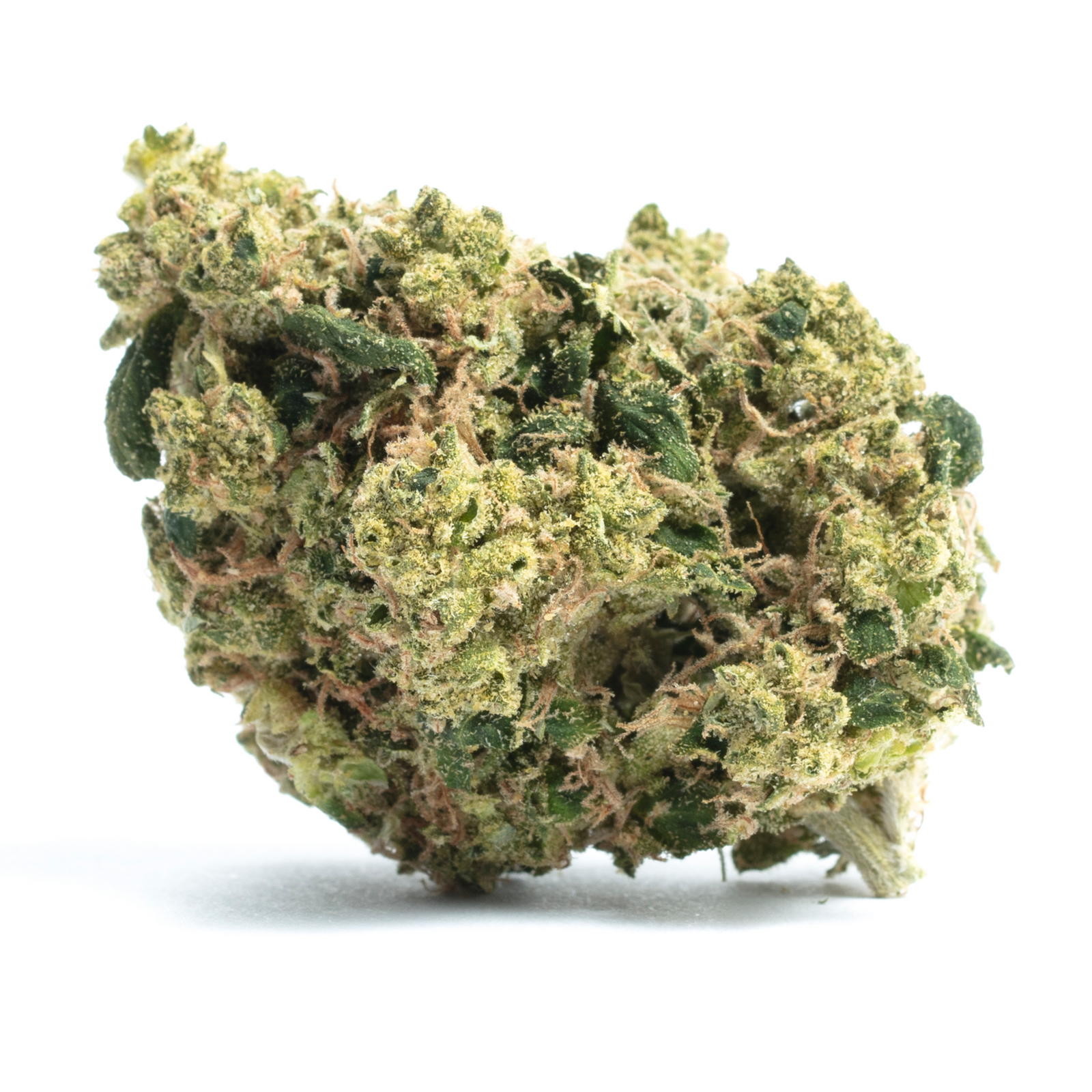 Light Saber marijuana strain flower with apple and blueberry flavor and happy / creative effects - Rare Harvest hybrid