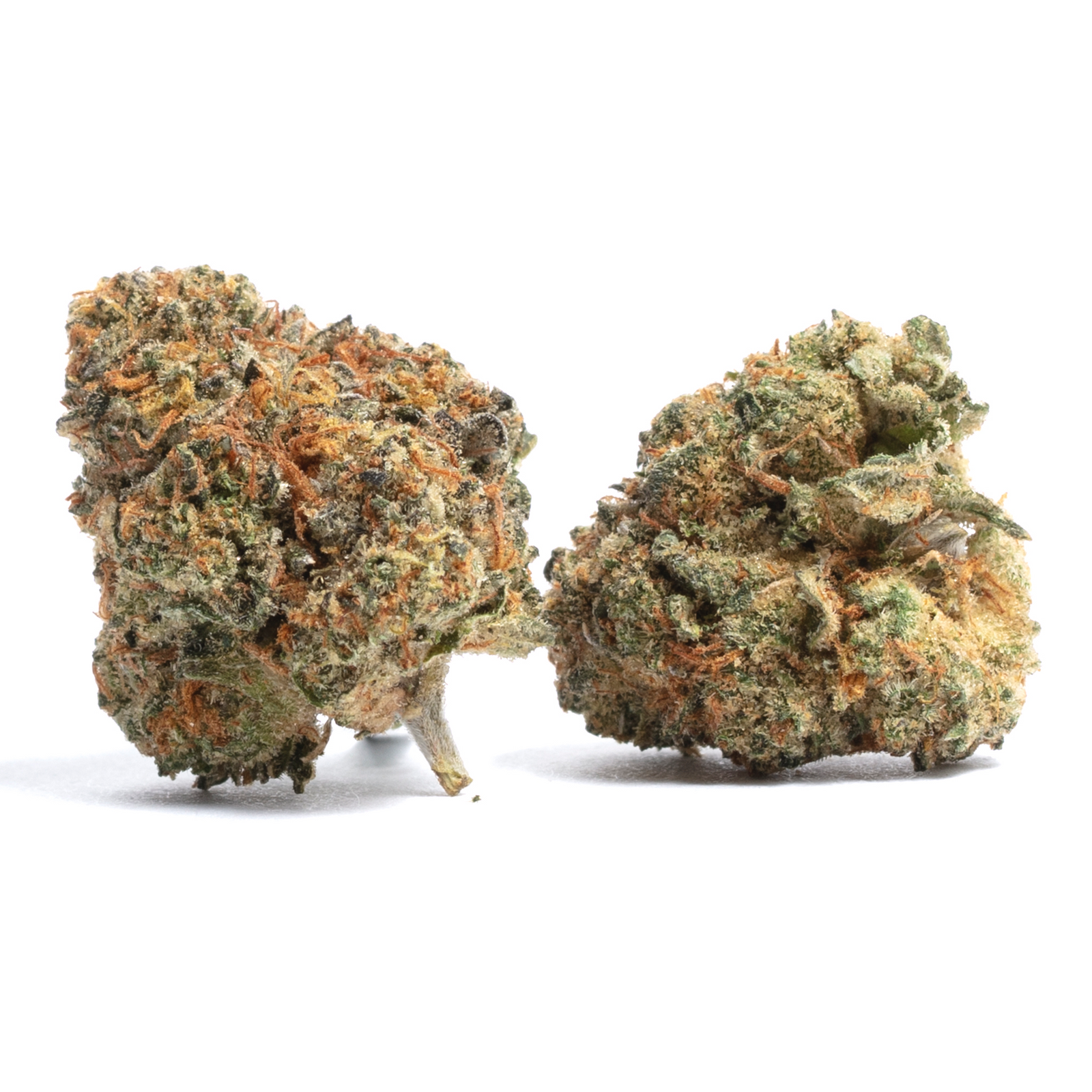 Toronja marijuana strain flower with grapefruit and cheese flavor and uplifted / euphoric effects - Rare Harvest hybrid