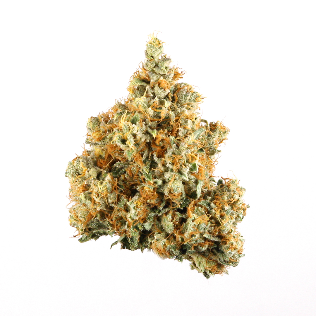 Raindance marijuana strain flower with flowery and tropical flavor and sleepy / relaxed effects - Rare Harvest hybrid
