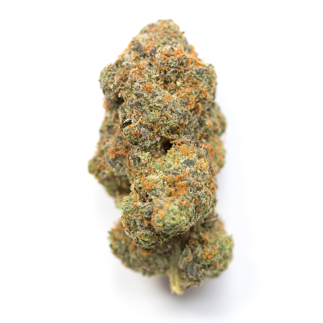 Tsunami marijuana strain flower with blueberry and diesel flavor and creative / happy effects - Rare Harvest hybrid