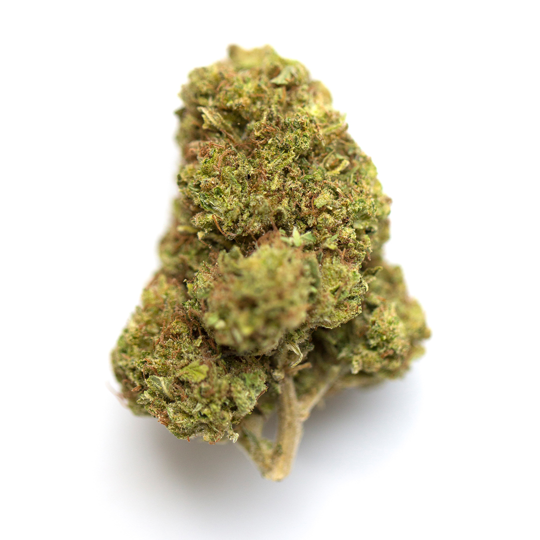 White Diamond marijuana strain flower with berry and chemical flavor and energetic / talkative effects - Rare Harvest hybrid