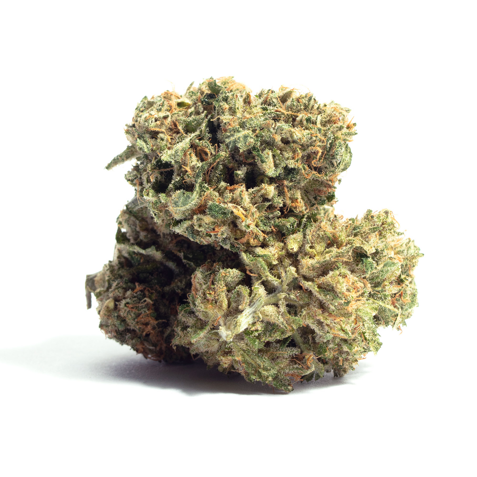 Sour OG Cheese marijuana strain flower with ammonia and cheese flavor and tingly / relaxed effects - Rare Harvest hybrid