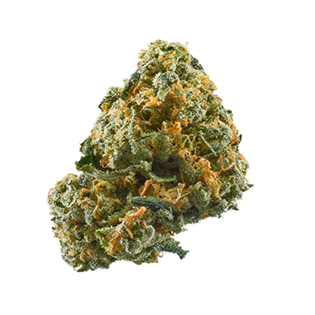 Sunshine Lime marijuana strain flower with lime and pineapple flavor and uplifted / happy effects - Rare Harvest hybrid