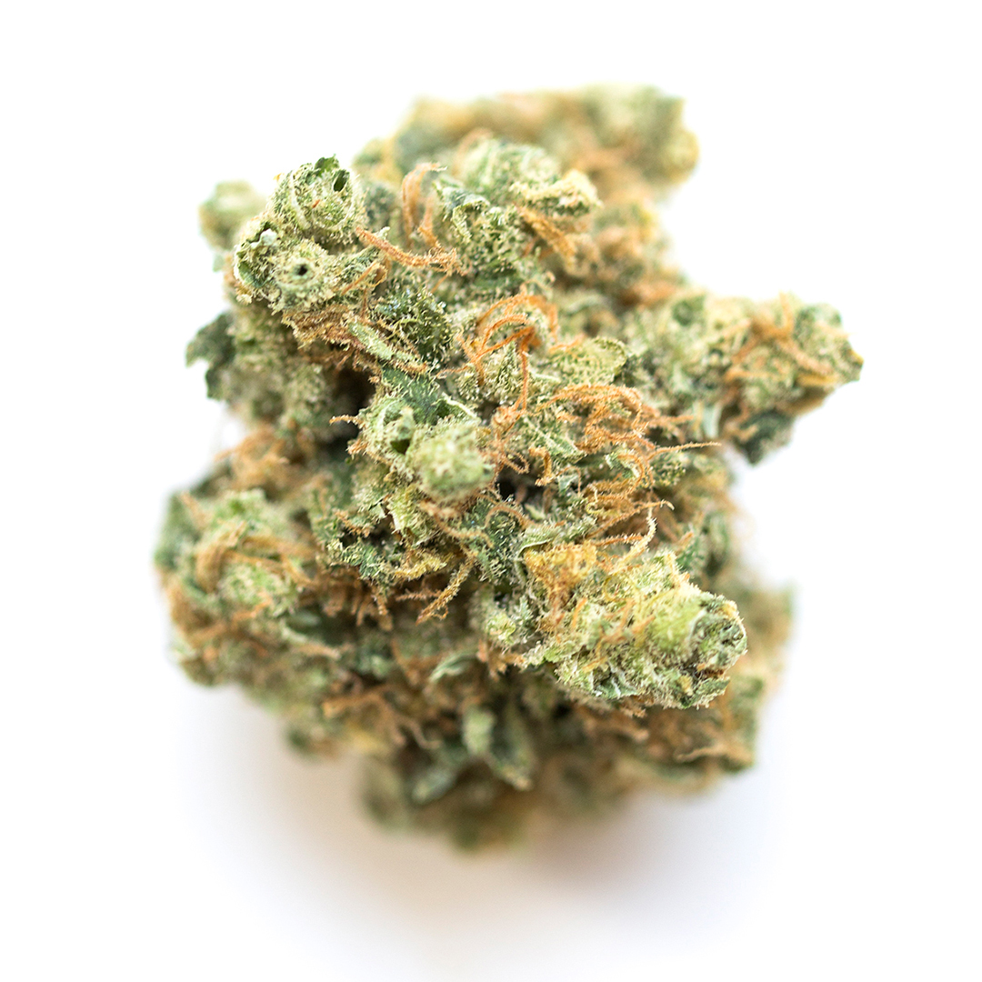 Rollinia marijuana strain flower and energetic / talkative effects - Rare Harvest hybrid