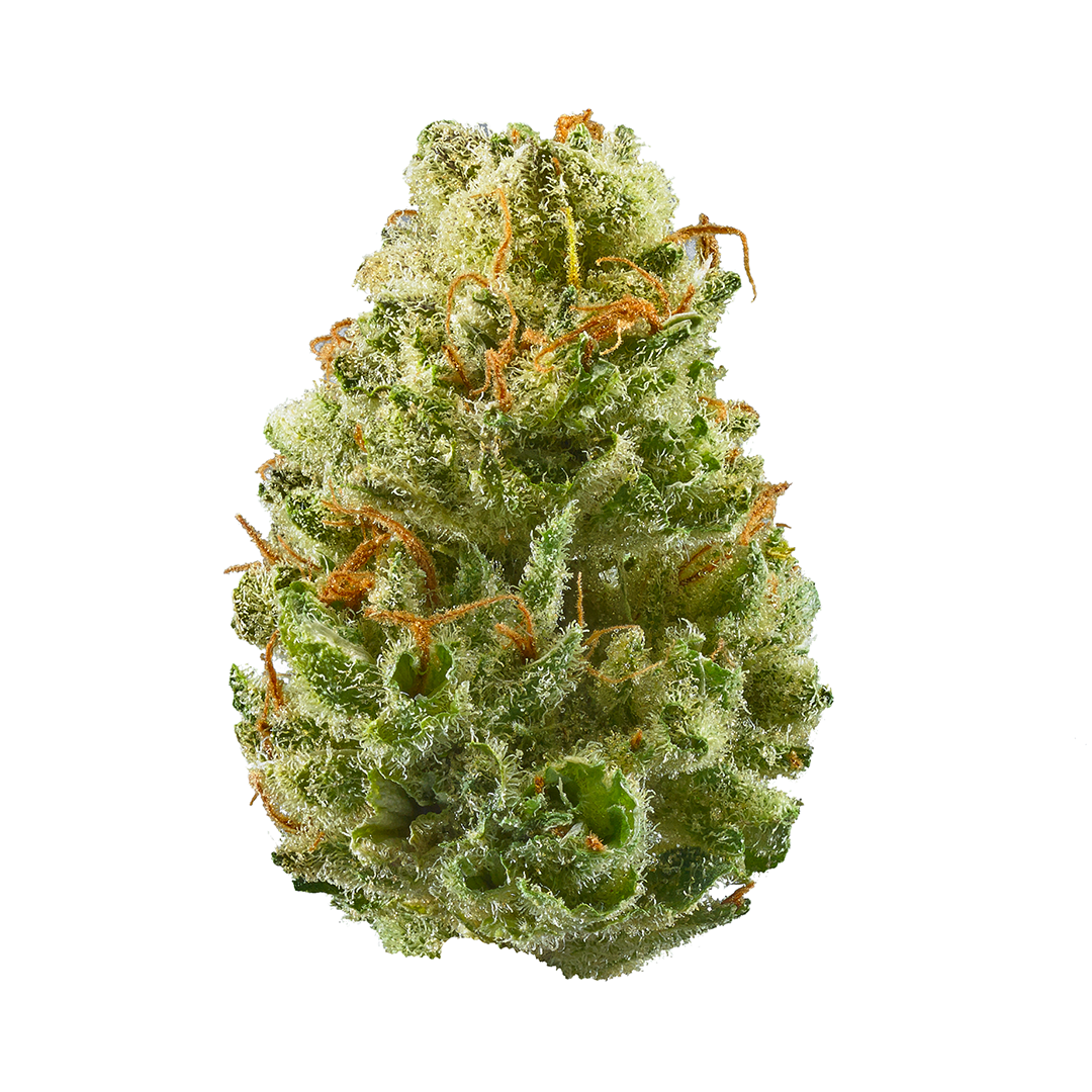 The CBG Blend marijuana strain flower with cheese and pepper flavor and energetic / uplifted effects - Rare Harvest hybrid
