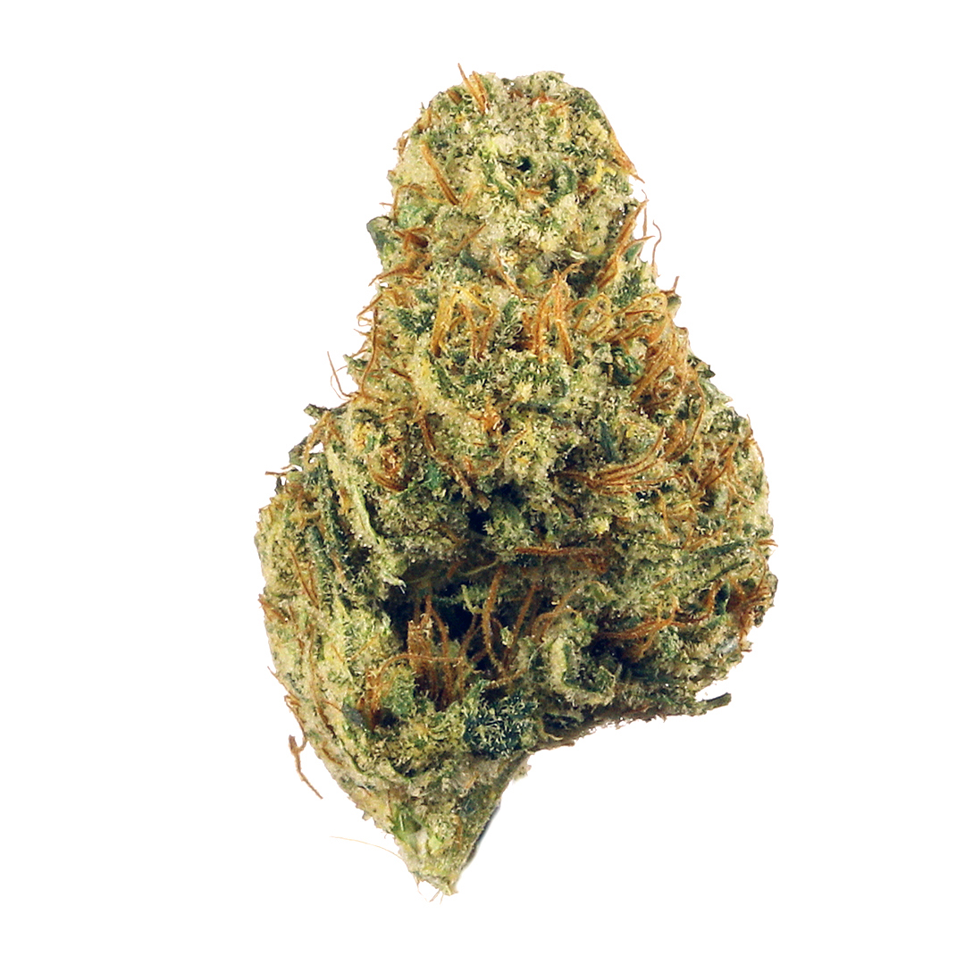 Fossil Fuel marijuana strain flower with diesel and chemical flavor and energetic / uplifted effects - Rare Harvest hybrid