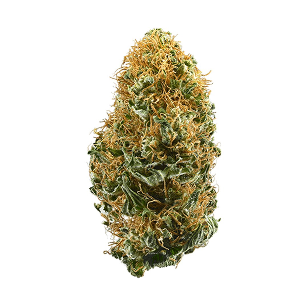 Tahoe Brunch marijuana strain flower with diesel and pine flavor and uplifted / energetic effects - Rare Harvest hybrid