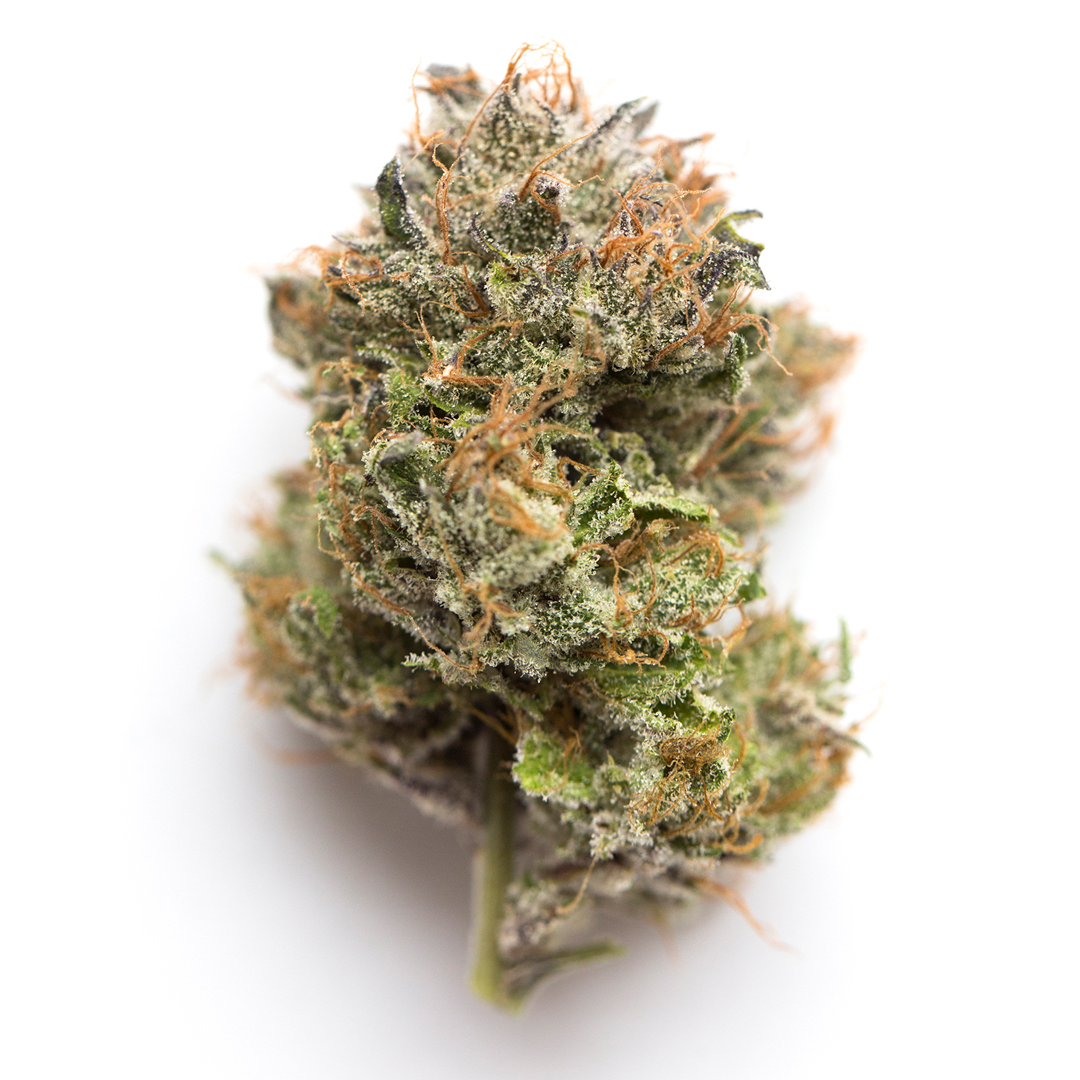 Tarmonster marijuana strain flower with grape and chemical flavor - Rare Harvest hybrid