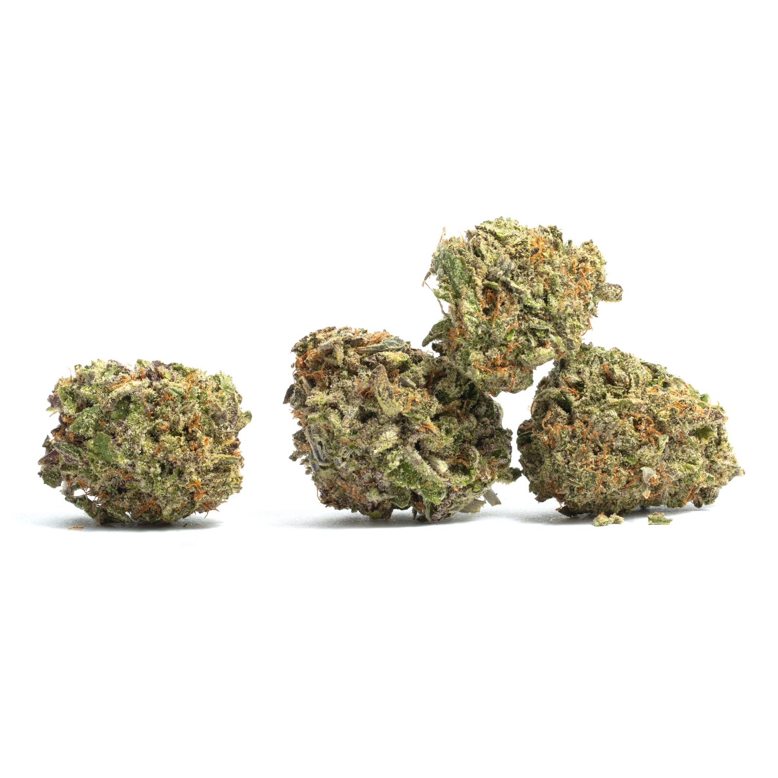 X-File marijuana strain flower and euphoric / relaxed effects - Rare Harvest hybrid