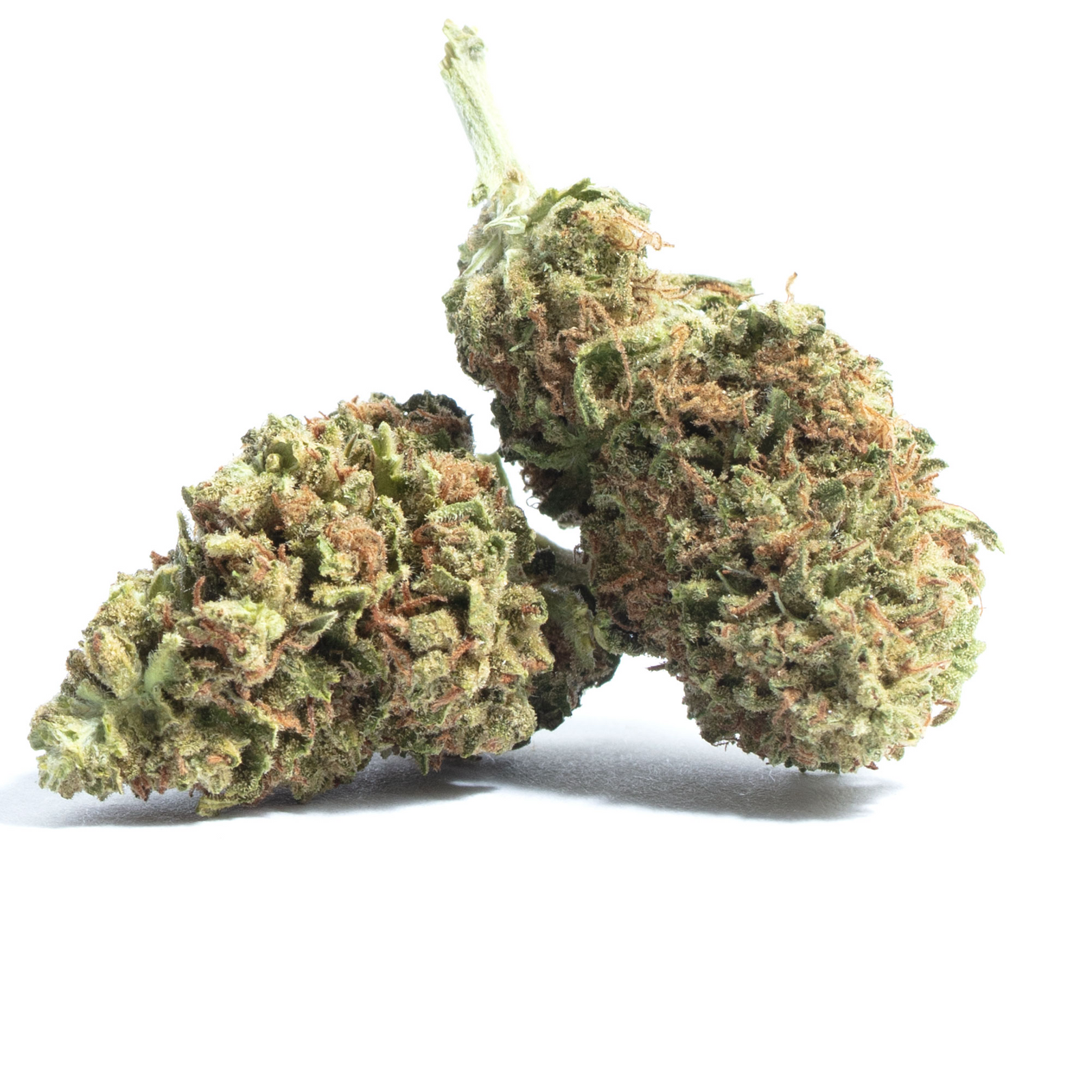 Lemon Brulee marijuana strain flower with grapefruit and lemon flavor and energetic / focused effects - Rare Harvest hybrid