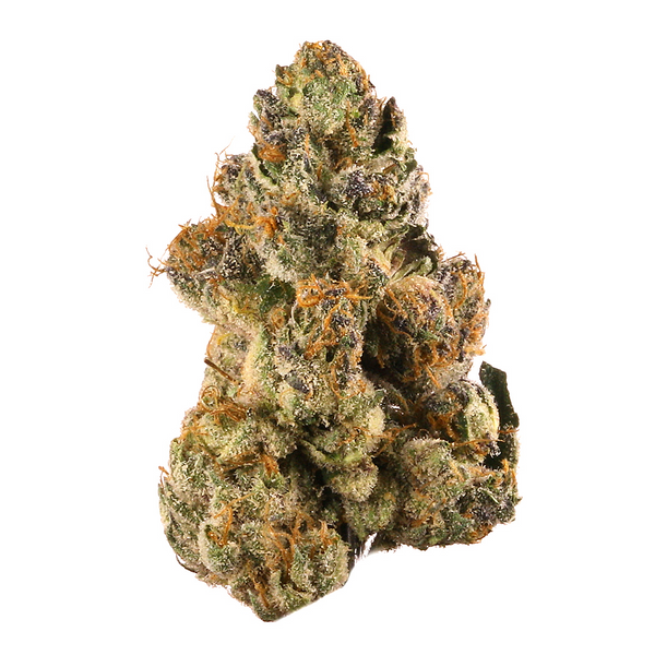 Purps OG Marijuana Strain | Rare Harvest