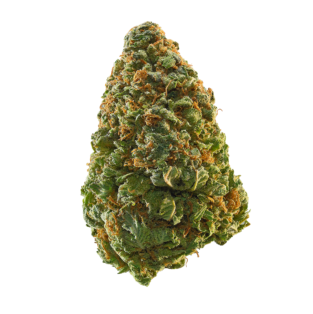 Tropical Trip marijuana strain flower with pear and tropical flavor and creative / energetic effects - Rare Harvest hybrid