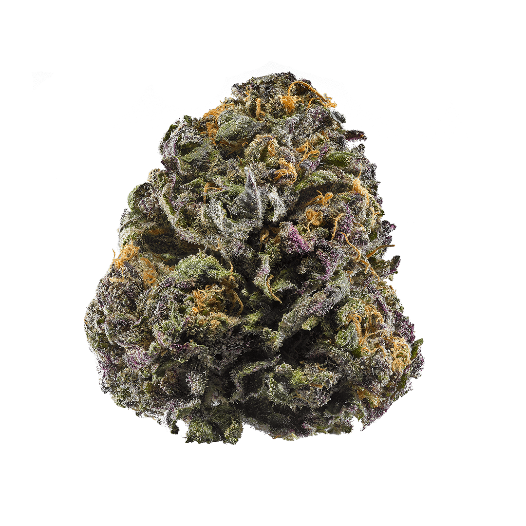Silver Spoon marijuana strain flower with tar and mango flavor and energetic / creative effects - Rare Harvest sativa