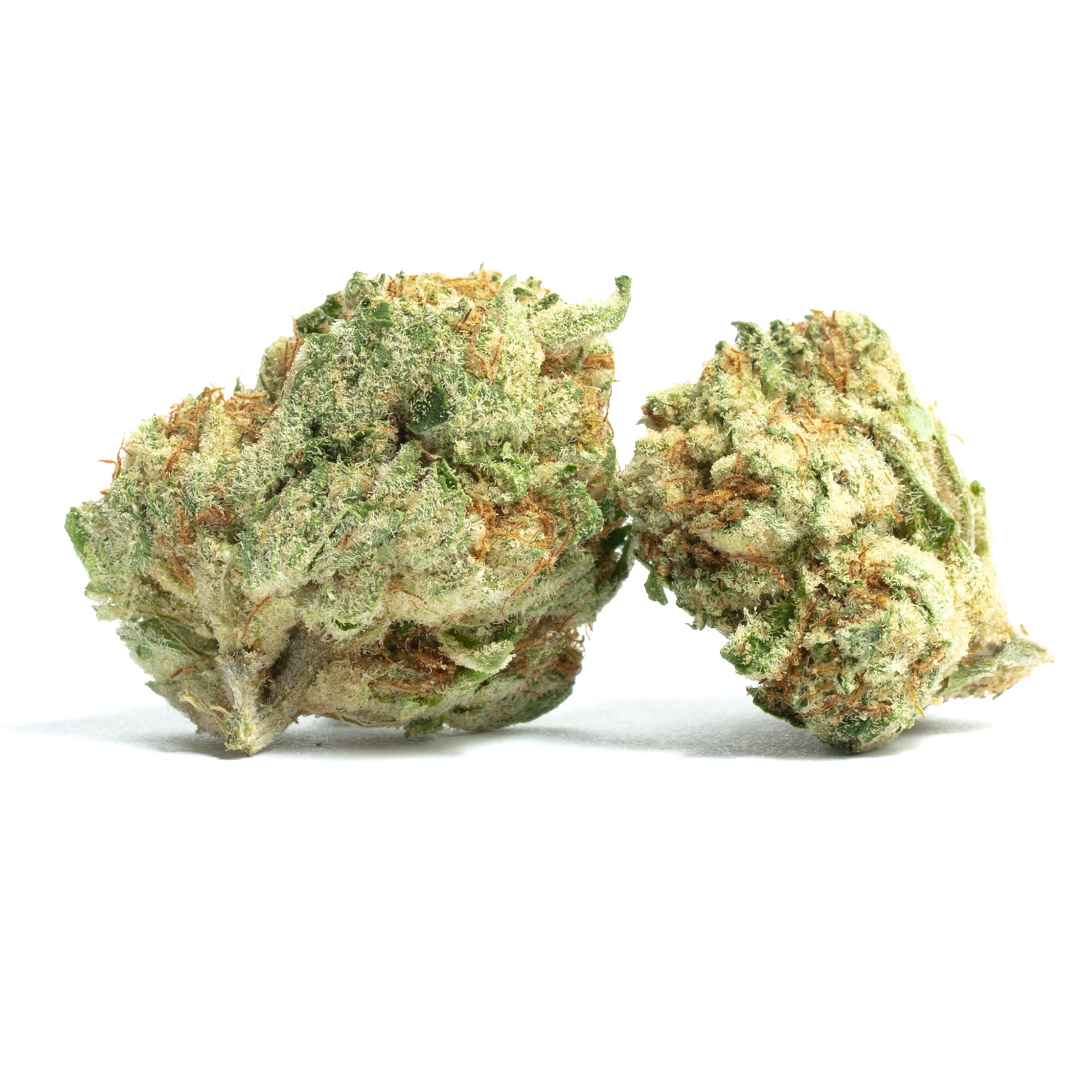 Safety Meeting marijuana strain flower with diesel and berry flavor and focused / relaxed effects - Rare Harvest hybrid