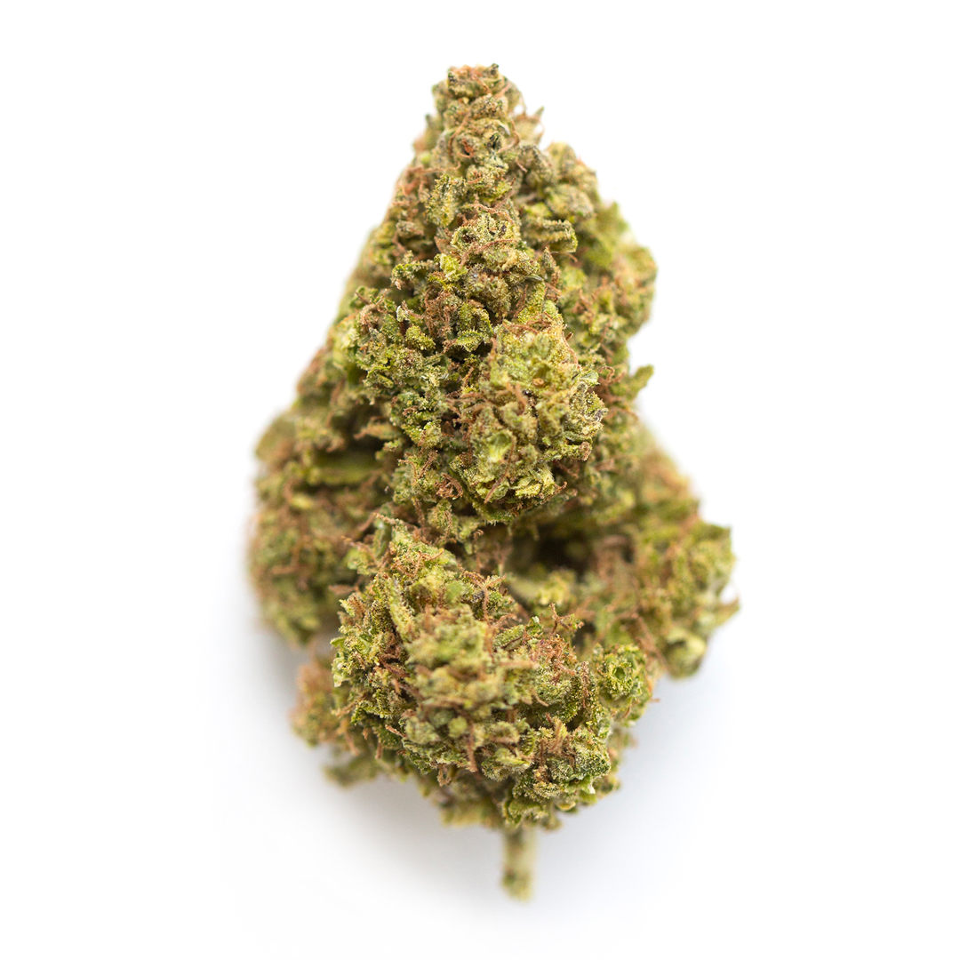 White Choco Haze marijuana strain flower with coffee and orange flavor and energetic / creative effects - Rare Harvest sativa