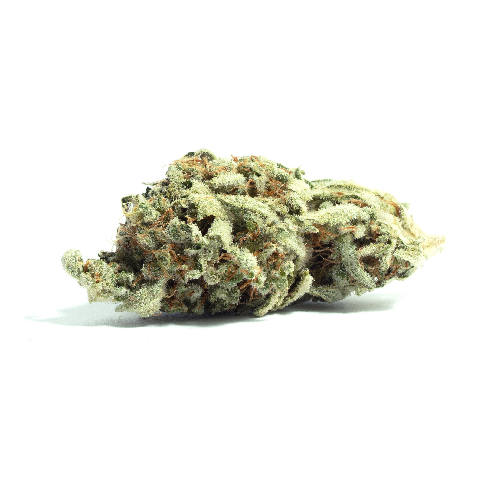 Vanilla Bean marijuana strain flower with nutty and vanilla flavor and sleepy / euphoric effects - Rare Harvest hybrid