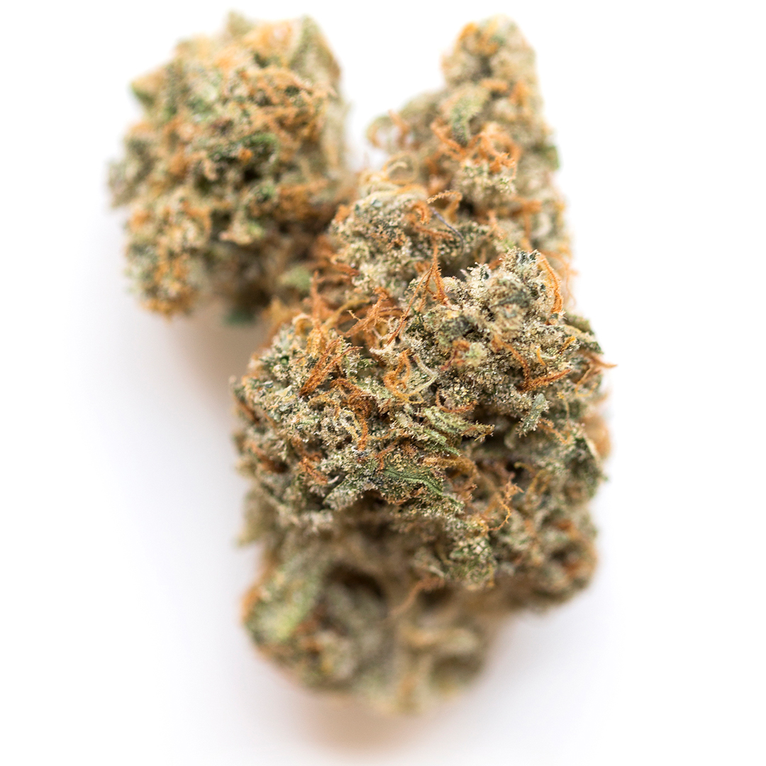 Banana Daddy marijuana strain flower with tropical and diesel flavor and relaxed / giggly effects - Rare Harvest hybrid