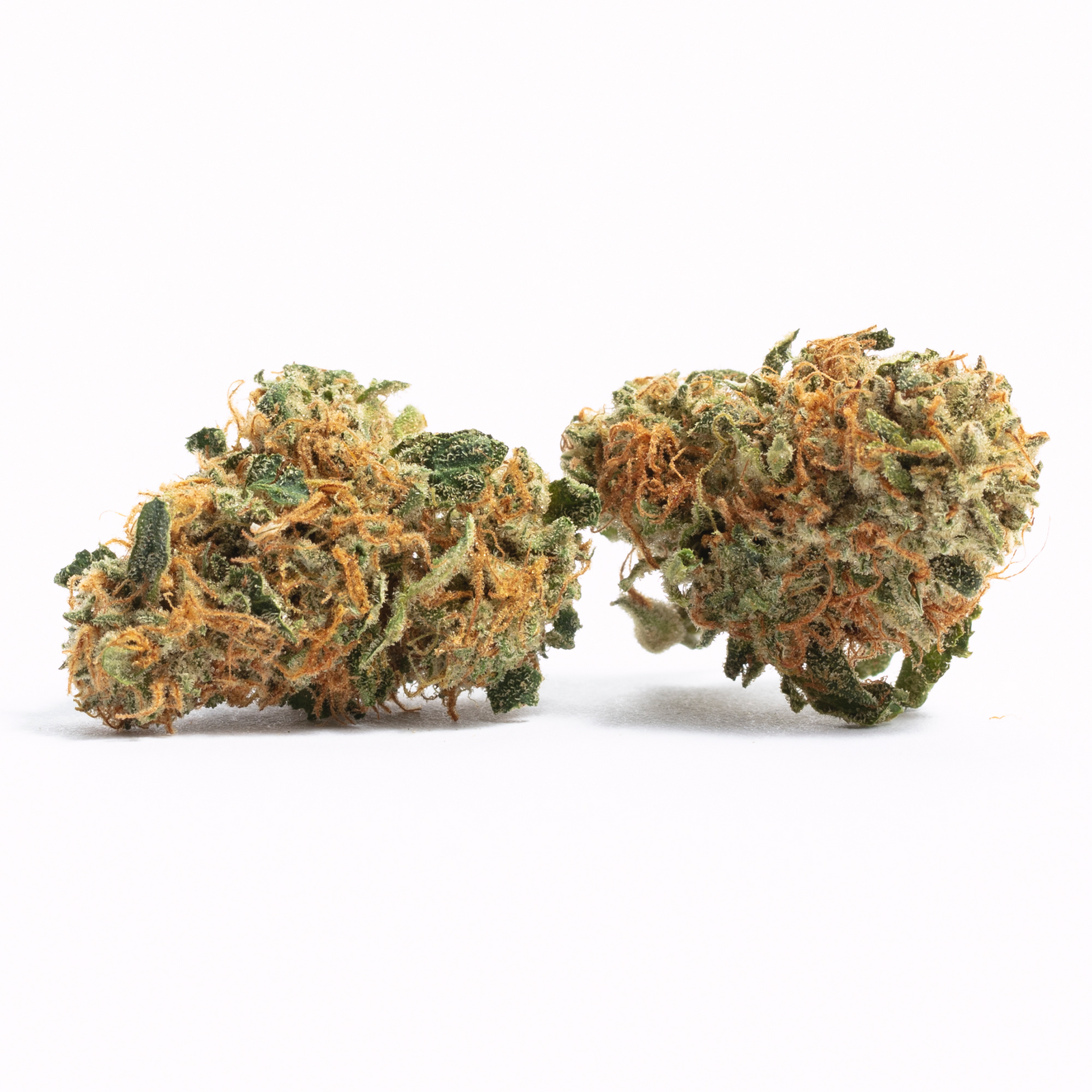 Sunset Runtz marijuana strain flower with peach and citrus flavor and creative / euphoric effects - Rare Harvest hybrid