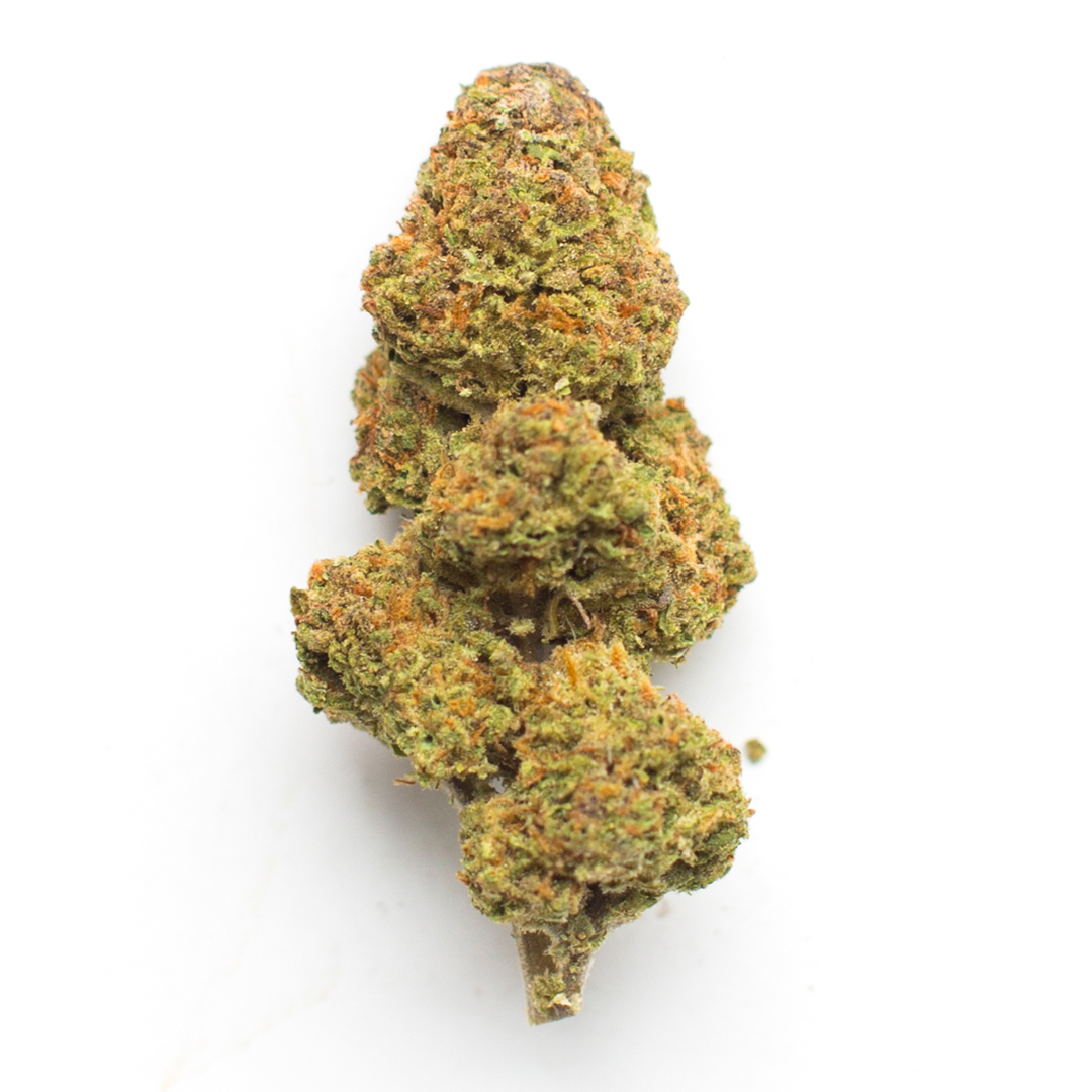 Wookie’s Cookies marijuana strain flower with butter and coffee flavor and uplifted / creative effects - Rare Harvest hybrid