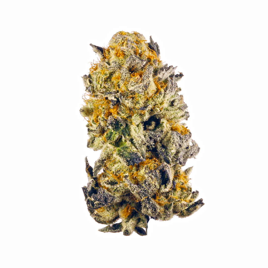 Swayze marijuana strain flower with blueberry and woody flavor and focused / relaxed effects - Rare Harvest hybrid