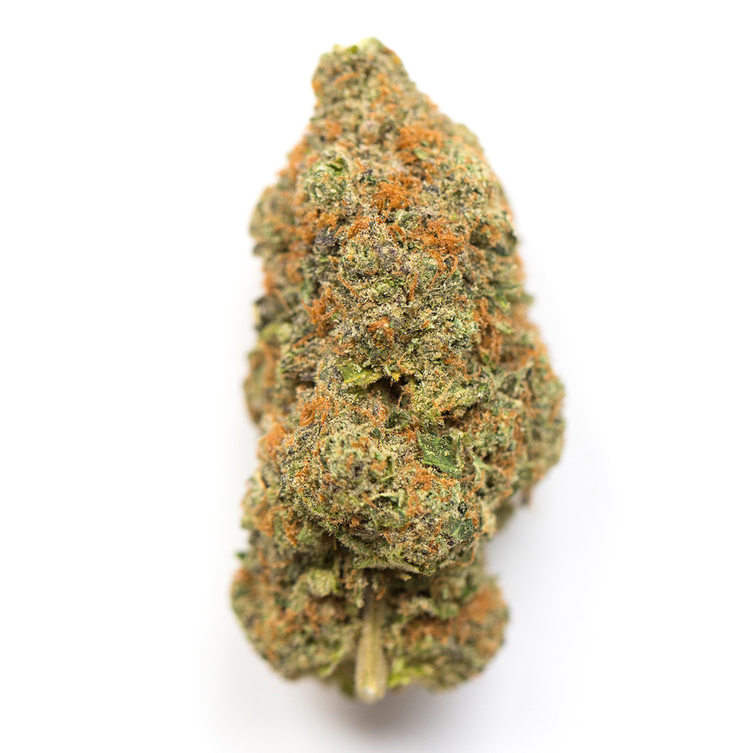 Zutopia marijuana strain flower - Rare Harvest hybrid