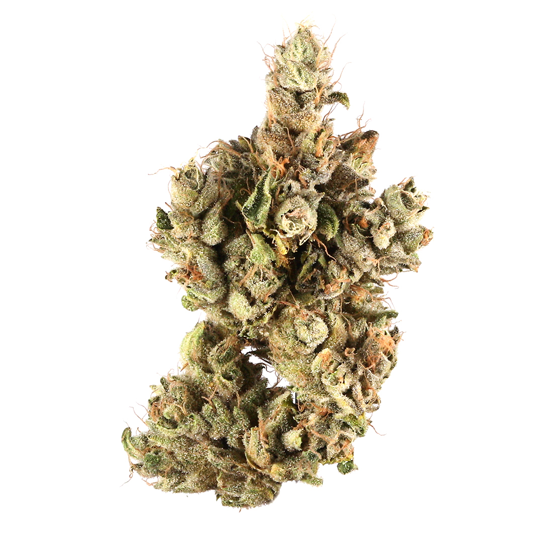 T. Sage marijuana strain flower with diesel and mango flavor and creative / happy effects - Rare Harvest hybrid